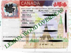Canada-student-visa (2)