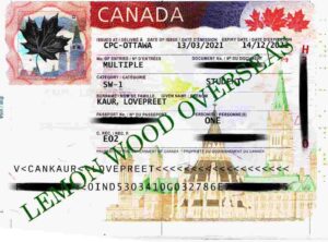 Canada-student-visa (3)