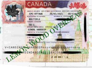 Canada-student-visa (4)