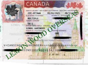 Canada-student-visa (7)